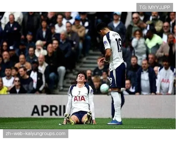 前热刺球员阿尔德韦雷尔德：文体两开花，多面人生精彩绽放，阿黛尔热刺球迷